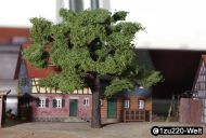 Fertig belaubte große Eiche; Höhe ca. xx cm